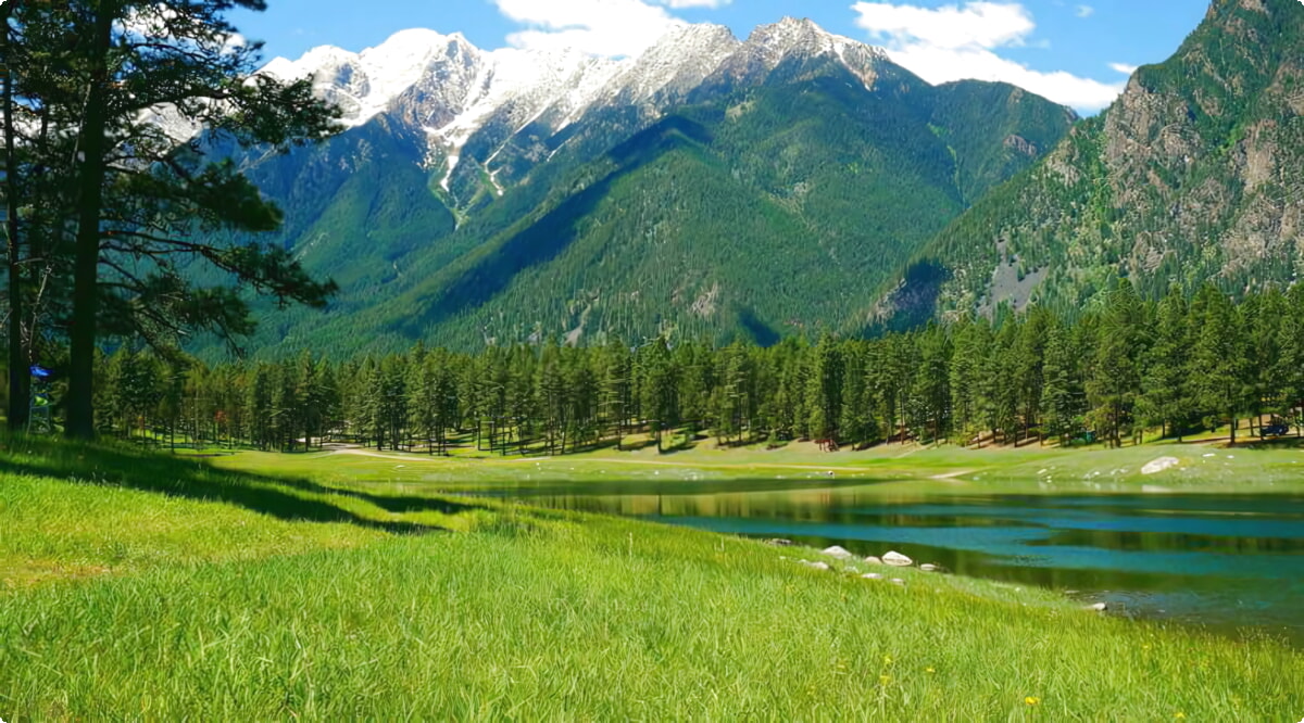 Le migliori offerte di noleggio auto a Cranbrook